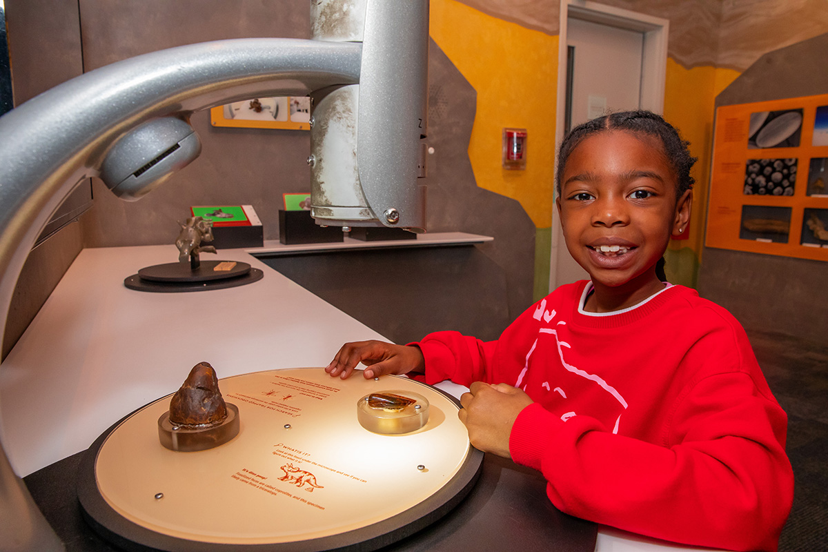 Summer of STEM adventures awaits at the Saint Louis Science Center